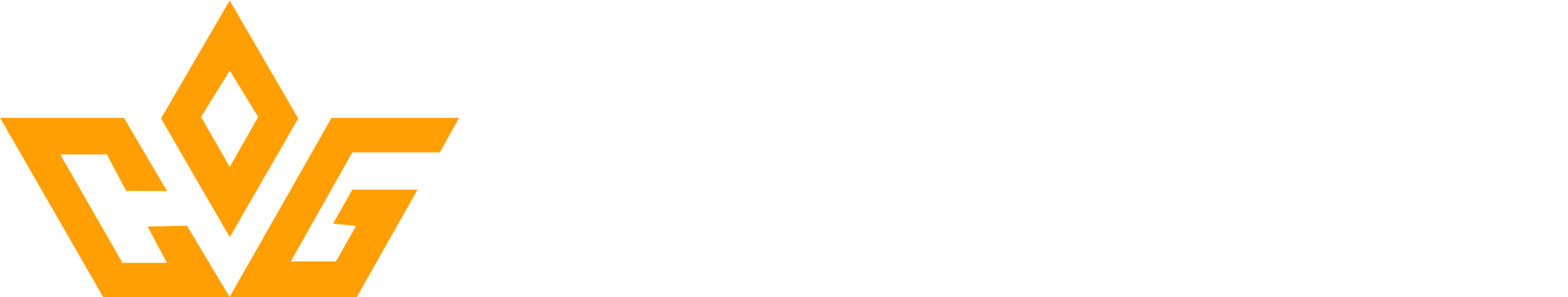 Cida Guimarães